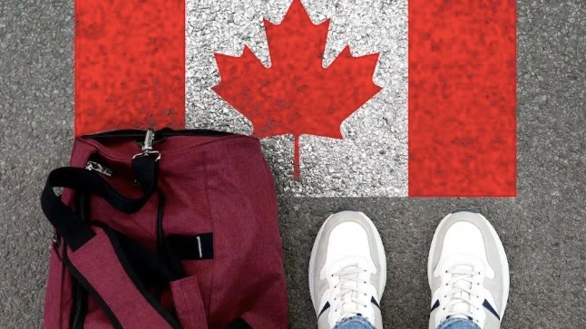 留学生想留在加拿大太难！庇护申请激增1500%！